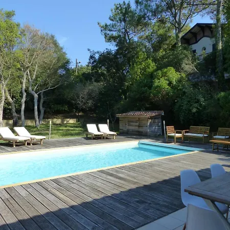 Des Acacias Avec Piscine Chauffee Pour 15 Personnes Entre Et Ocean Wifi Gratuit